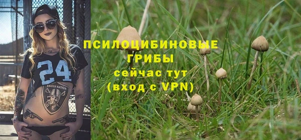 спиды Абинск