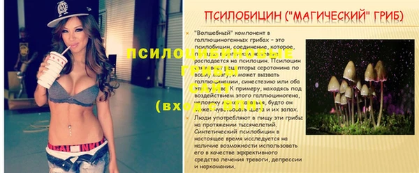ПСИЛОЦИБИНОВЫЕ ГРИБЫ Абдулино