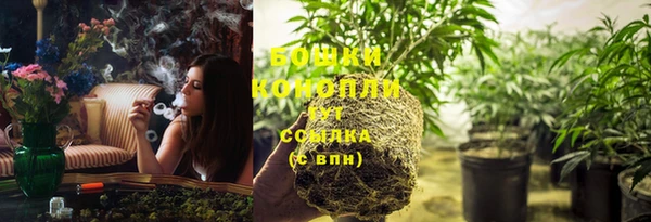 ПСИЛОЦИБИНОВЫЕ ГРИБЫ Абдулино