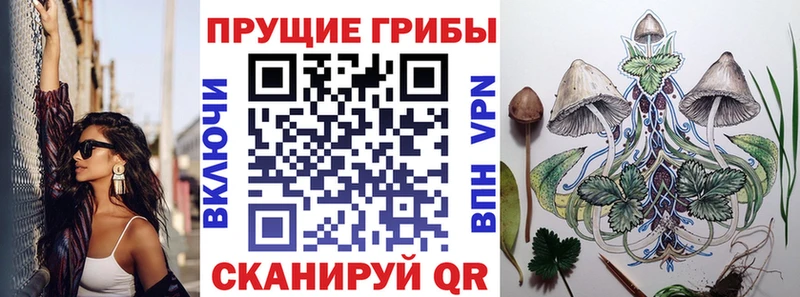 где продают Щёкино Галлюциногенные грибы мицелий